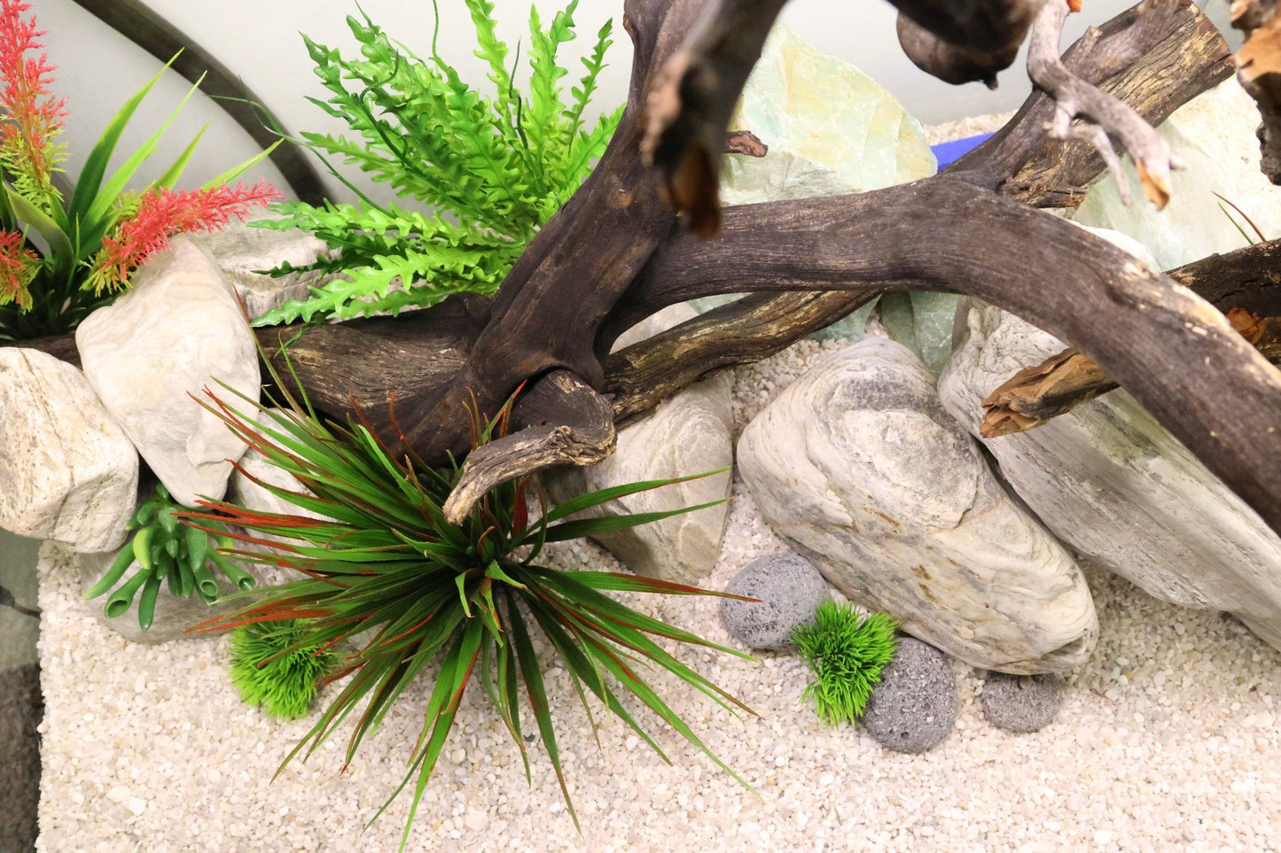 70 Gallon Turnkey Freshwater Aquarium Package - White Stand