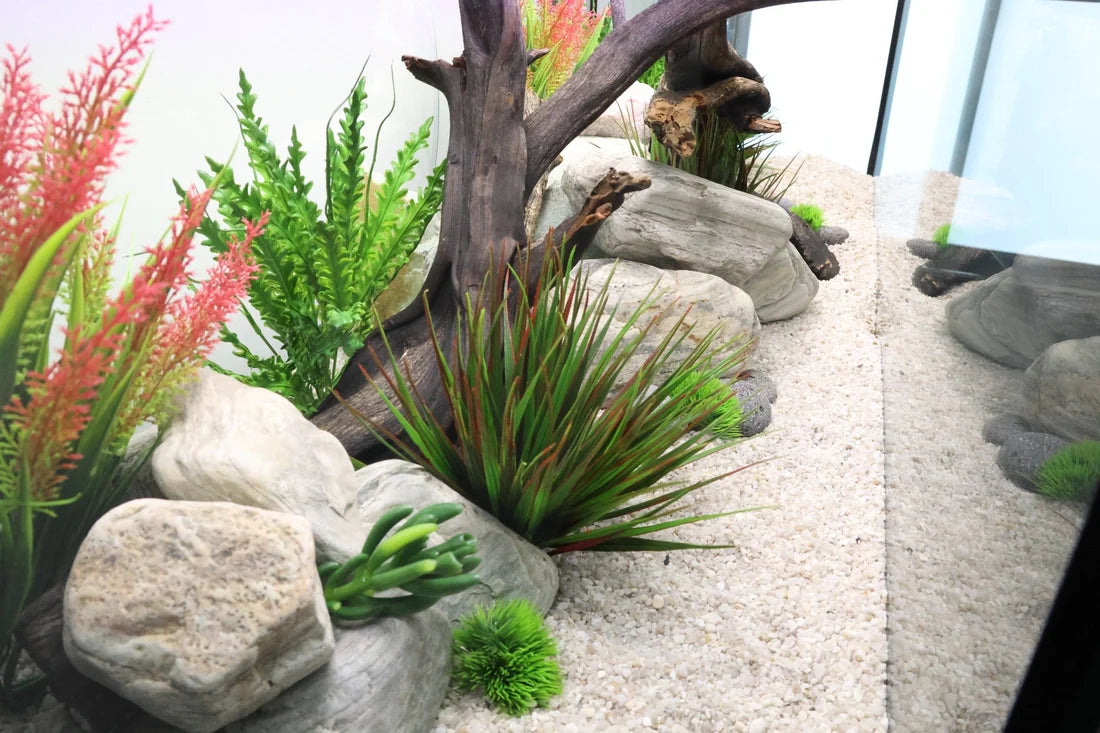 50 Gallon Turnkey Freshwater Aquarium Package - Black Stand