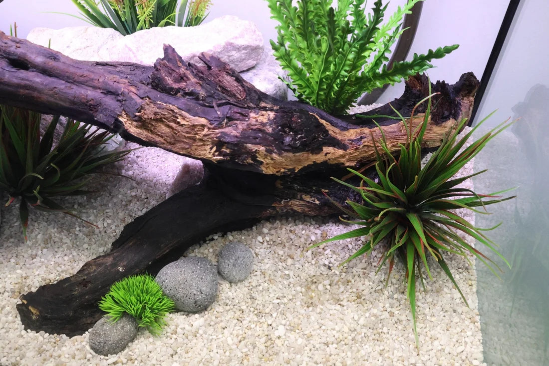 50 Gallon Turnkey Freshwater Aquarium Package - Black Stand