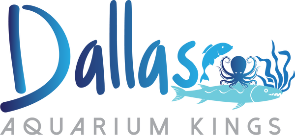 Dallas Aquarium Kings